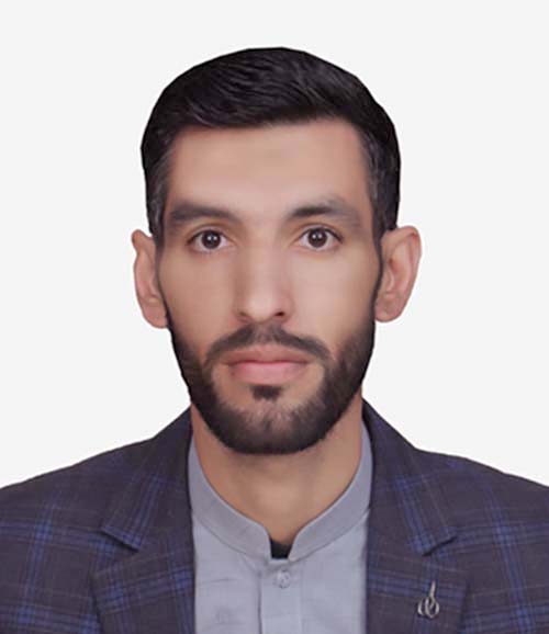 Software Developer