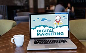 SEO training for staff